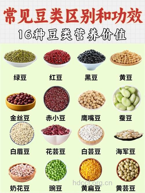 夏季养生吃五豆 健康养五脏