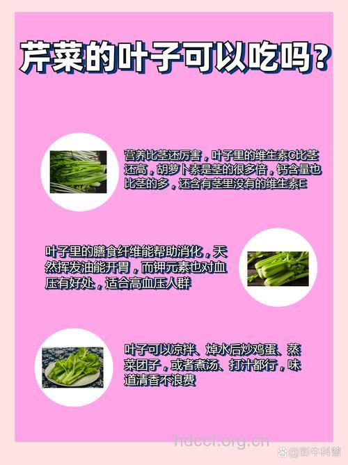 芹菜的叶比茎有营养 芹菜叶的营养功效