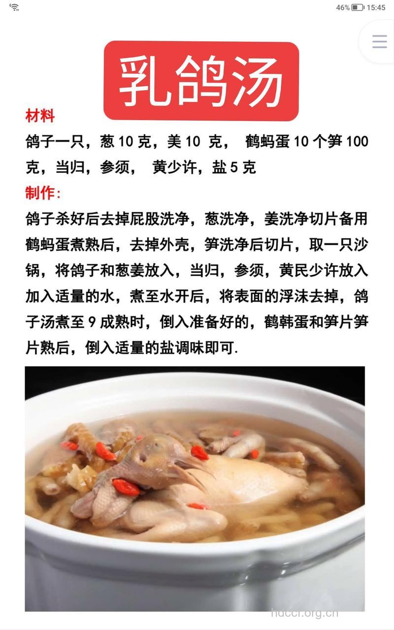 夏季养生鸽子汤 鸽子汤的营养功效