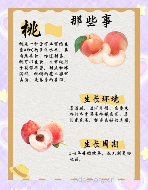 夏季吃桃子好处多 食用禁忌需了解