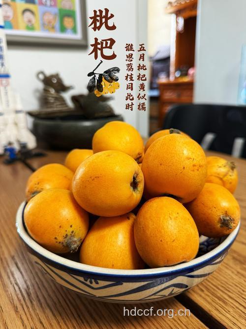 夏季水果吃枇杷 润肺止咳消热