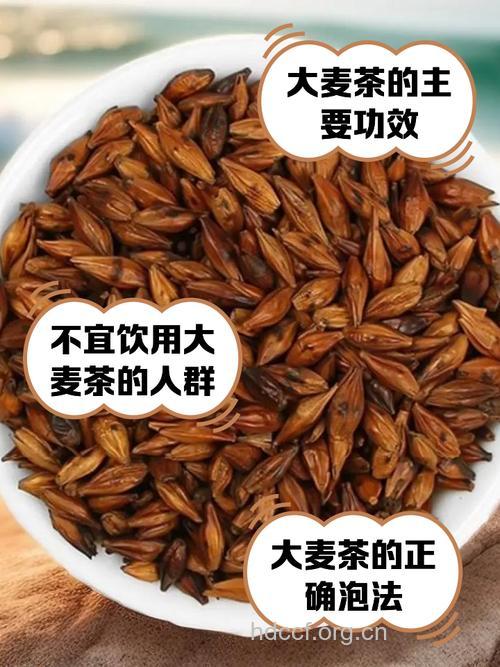 夏季解暑健胃的饮品 大麦茶的功效
