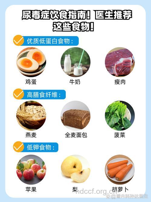 尿毒症患者到了晚期吃什么