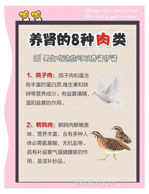 男性肾虚吃什么 四种肉类必不可少