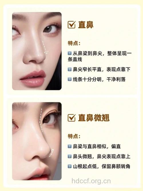 整体式美鼻有哪些好处