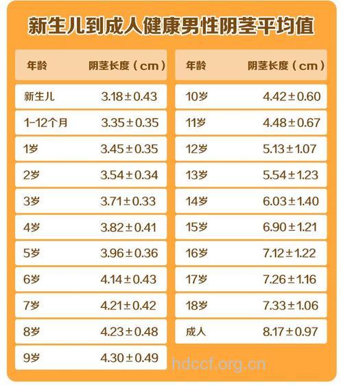 男人的阴茎多长才算正常