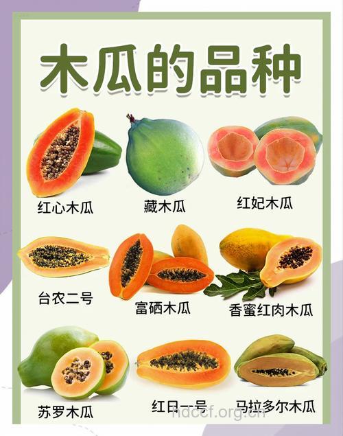 木瓜有哪些功效与作用