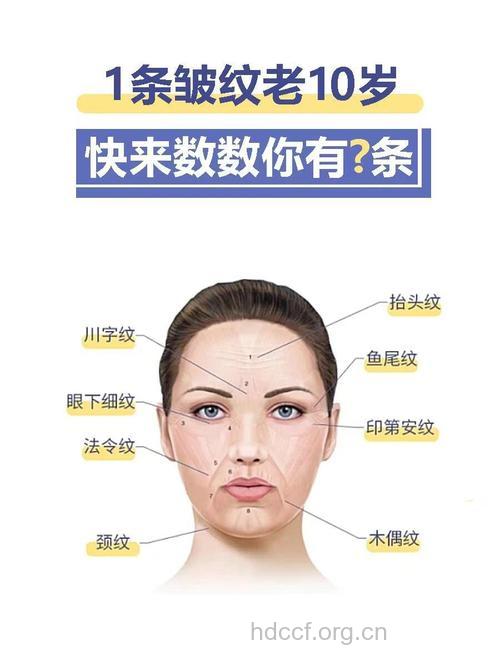 不同年龄会出现哪些皱纹