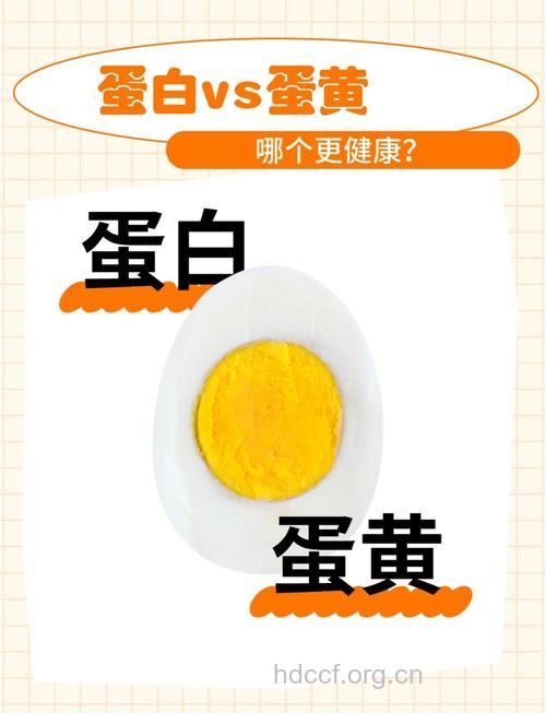 蛋黄和蛋清哪个有营养