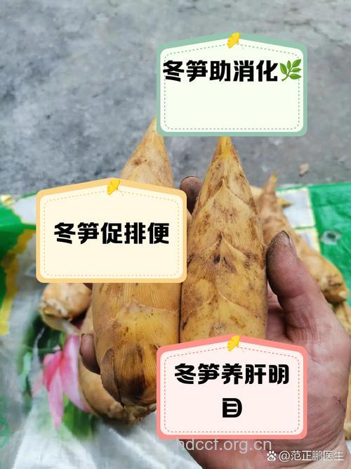 冬季食用冬笋好处多