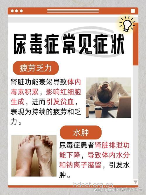 尿毒症肾脏移植的8个注意