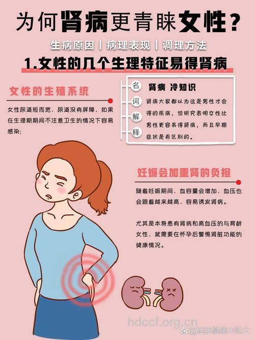 为何慢性肾衰“青睐”中年女性？