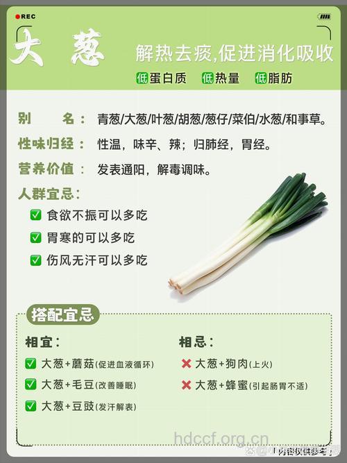 葱的功效及食谱做法