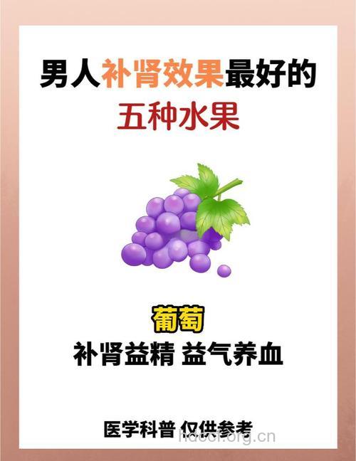 男性肾虚吃什么水果补肾好