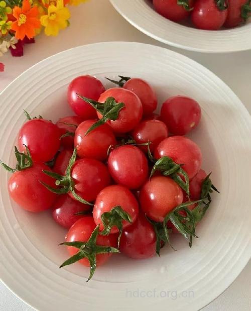 番茄的正确吃法 番茄和芥蓝同吃可防癌