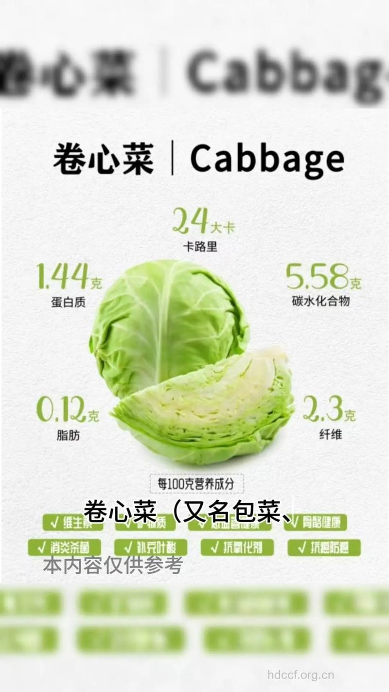 卷心菜营养价值高 如何正确食用