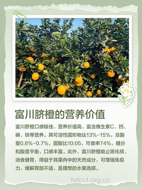 富川脐橙的营养价值