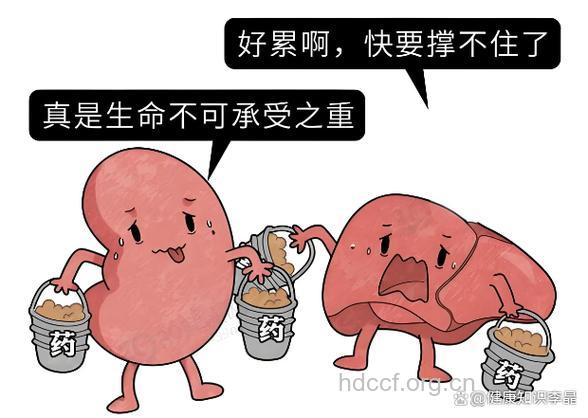吃药不当竟然吃出肾衰竭