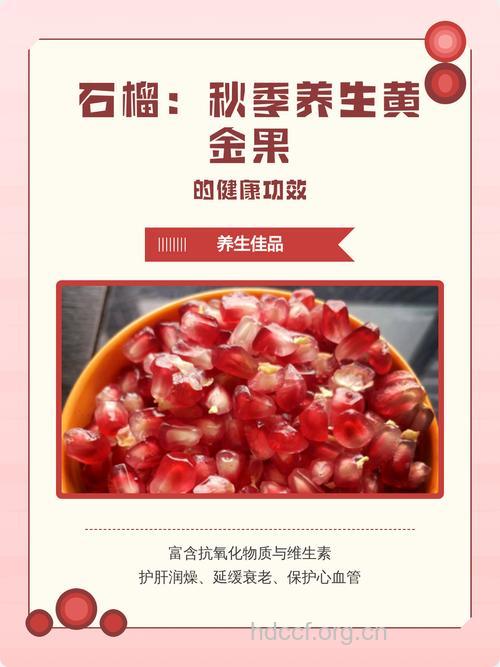 秋季养生 每天一个石榴更健康