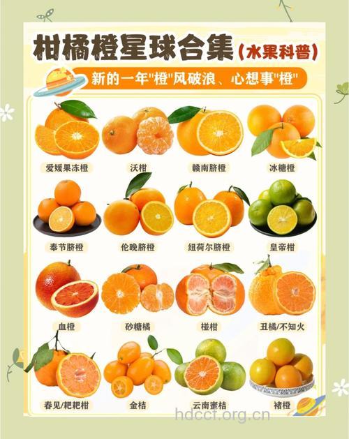 脐橙的营养价值有哪些