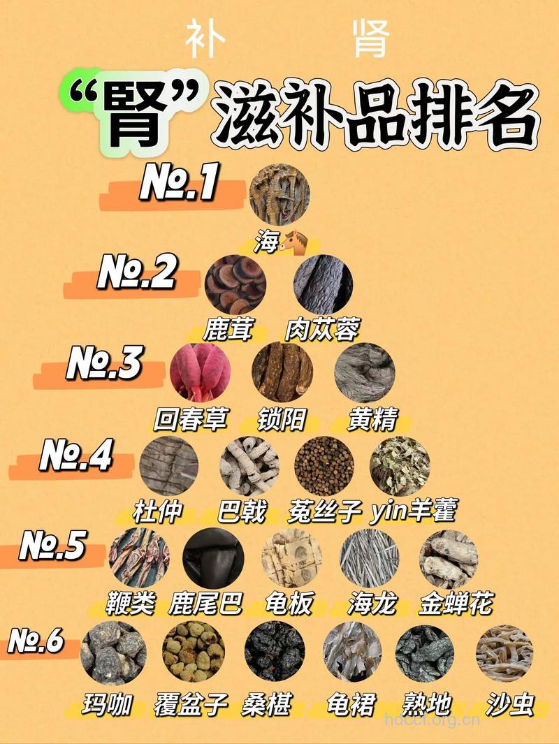 日常男性肾虚吃什么常见食物