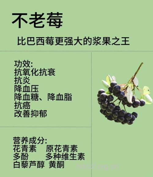 盘点5种莓类水果功效