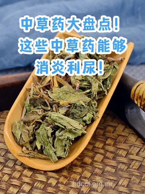 中药治尿毒症有效但不是仙丹