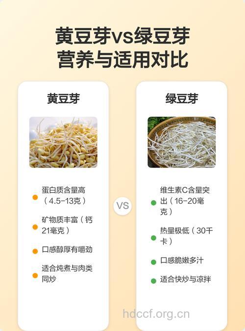黄豆芽比绿豆芽更营养吗