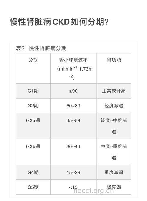 肾功能不全如何分级