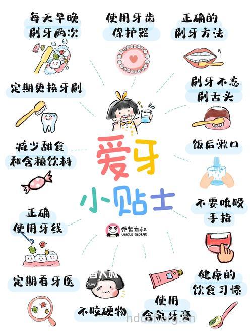 牙齿有哪些护花使者