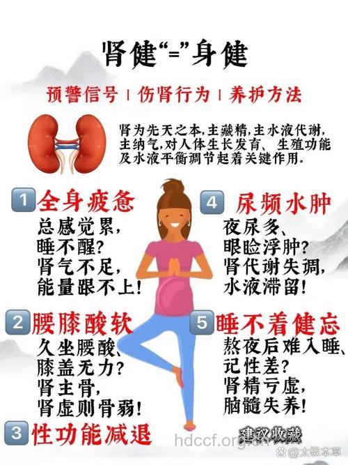 肾脏疾病如何尽早发现很关键