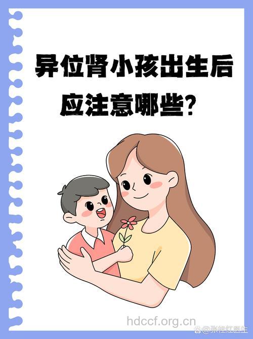 换肾后能否结婚生子
