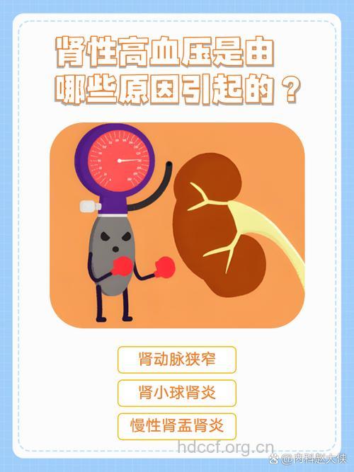 高血压如何“迫害”肾脏