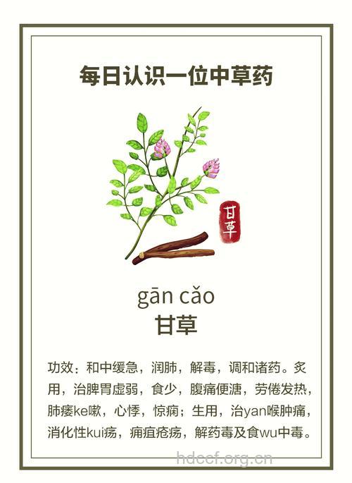 甘草有什么作用