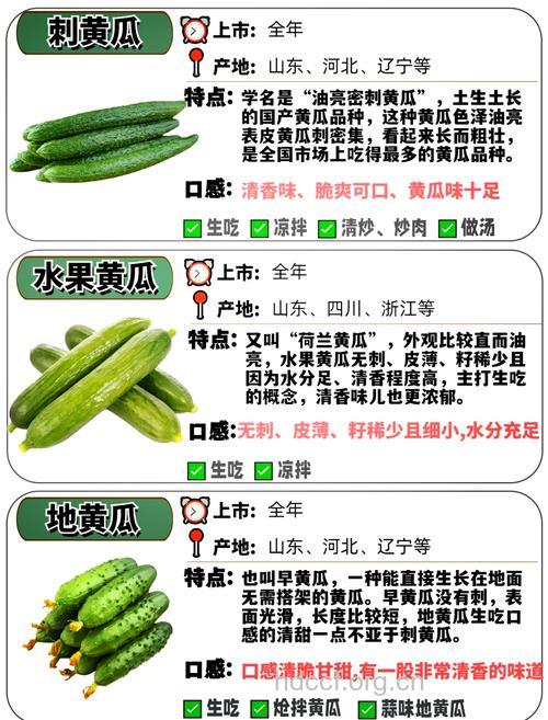 黄瓜生吃好还是熟吃好