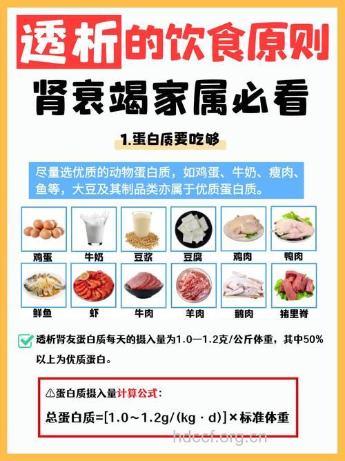 肾衰饮食注意点