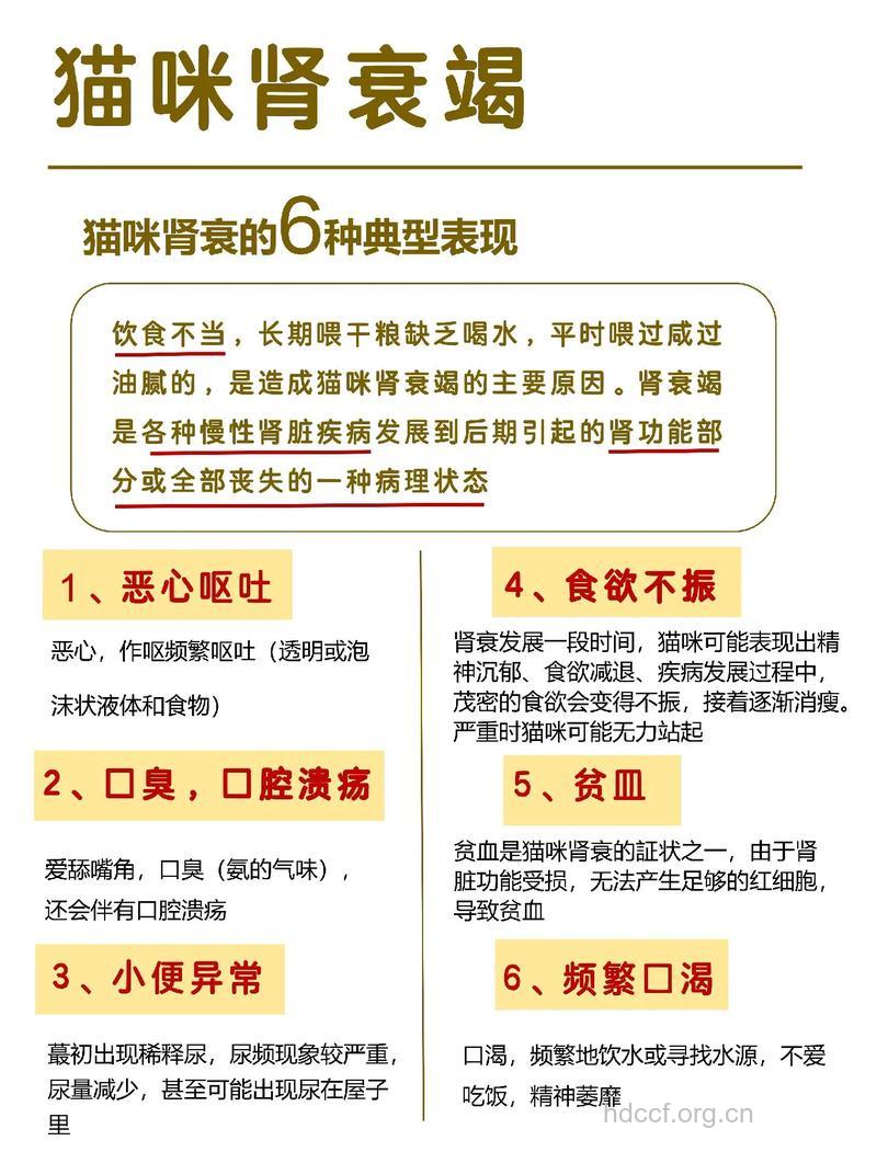 肾衰早发现可早治疗