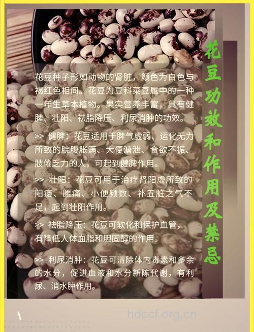 兰花豆的营养价值
