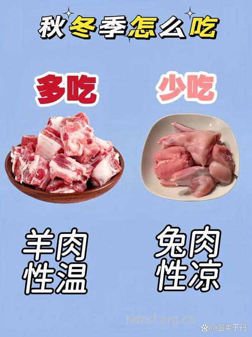 秋补多吃鸭肉少吃羊肉