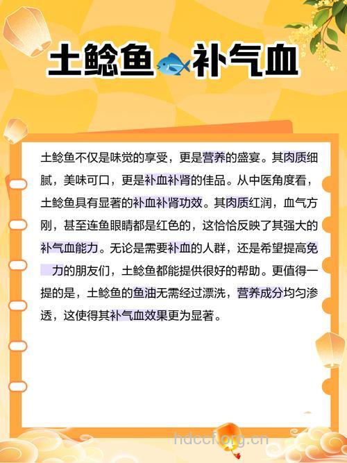 鲶鱼的营养价值分析