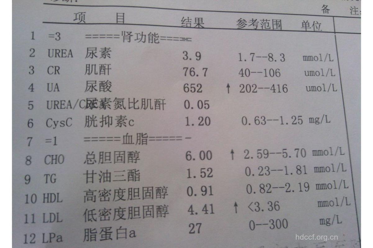 帮你解读：肾功能化验单
