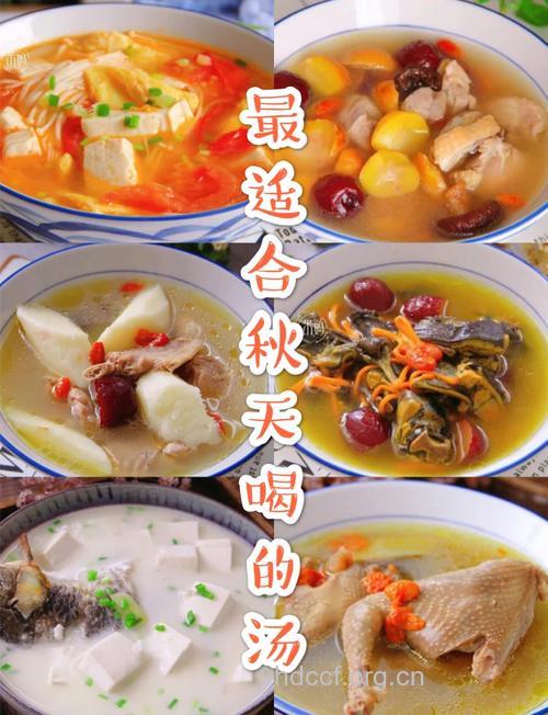 秋季美食推荐 滋润食品为主