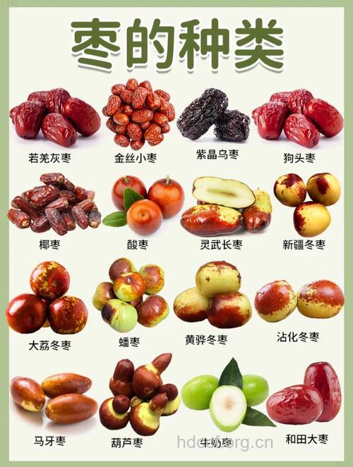 蜜枣的营养价值