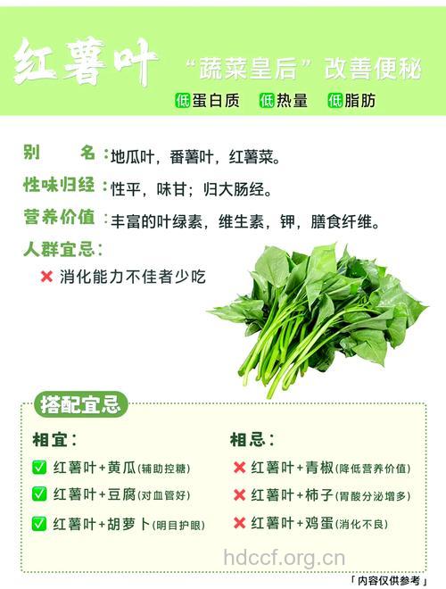 地瓜叶的营养价值