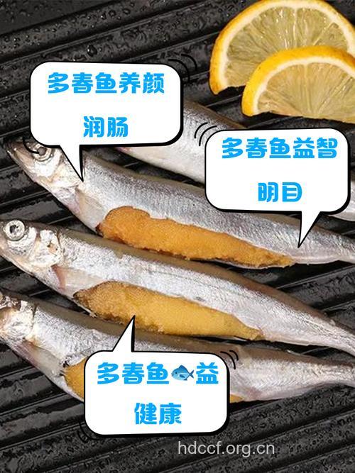 多春鱼的营养价值