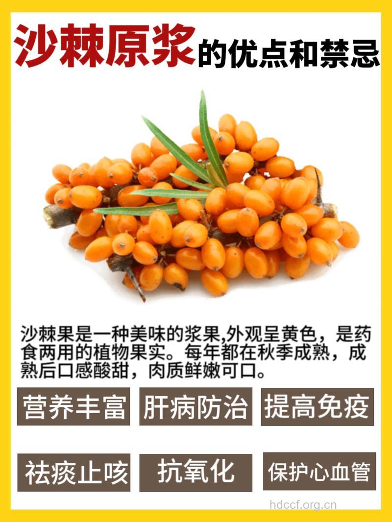 细数10种浆果的功效与作用