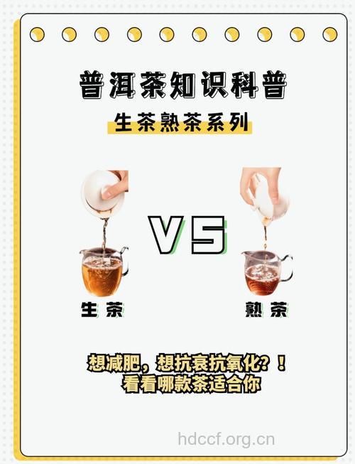 生普洱茶和熟普洱茶的功效