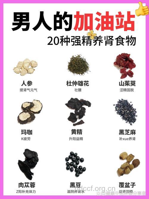 男性吃什么可以补精子