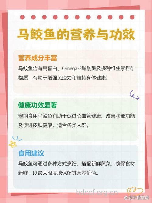 马鲛鱼的营养价值