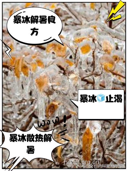 夏日冰饮冻伤了你的抵抗力
